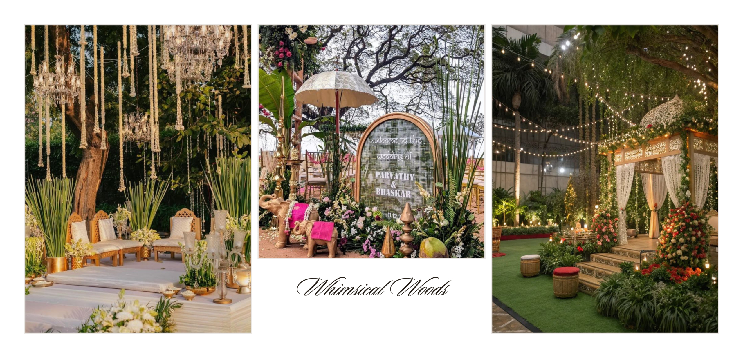 Whimsical Woods: Where Fairy-Tales Begin